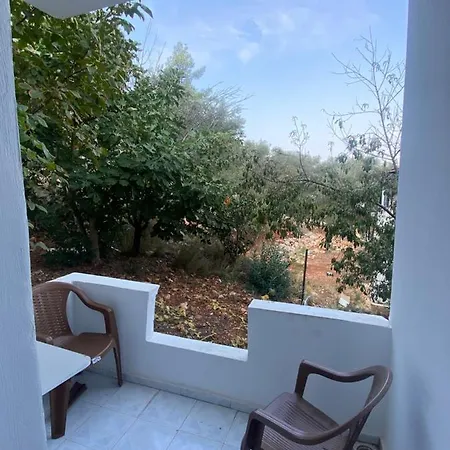 Patara Modestus Hostal