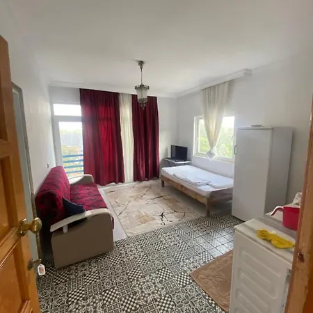 Patara Modestus Hostal Gelemiş